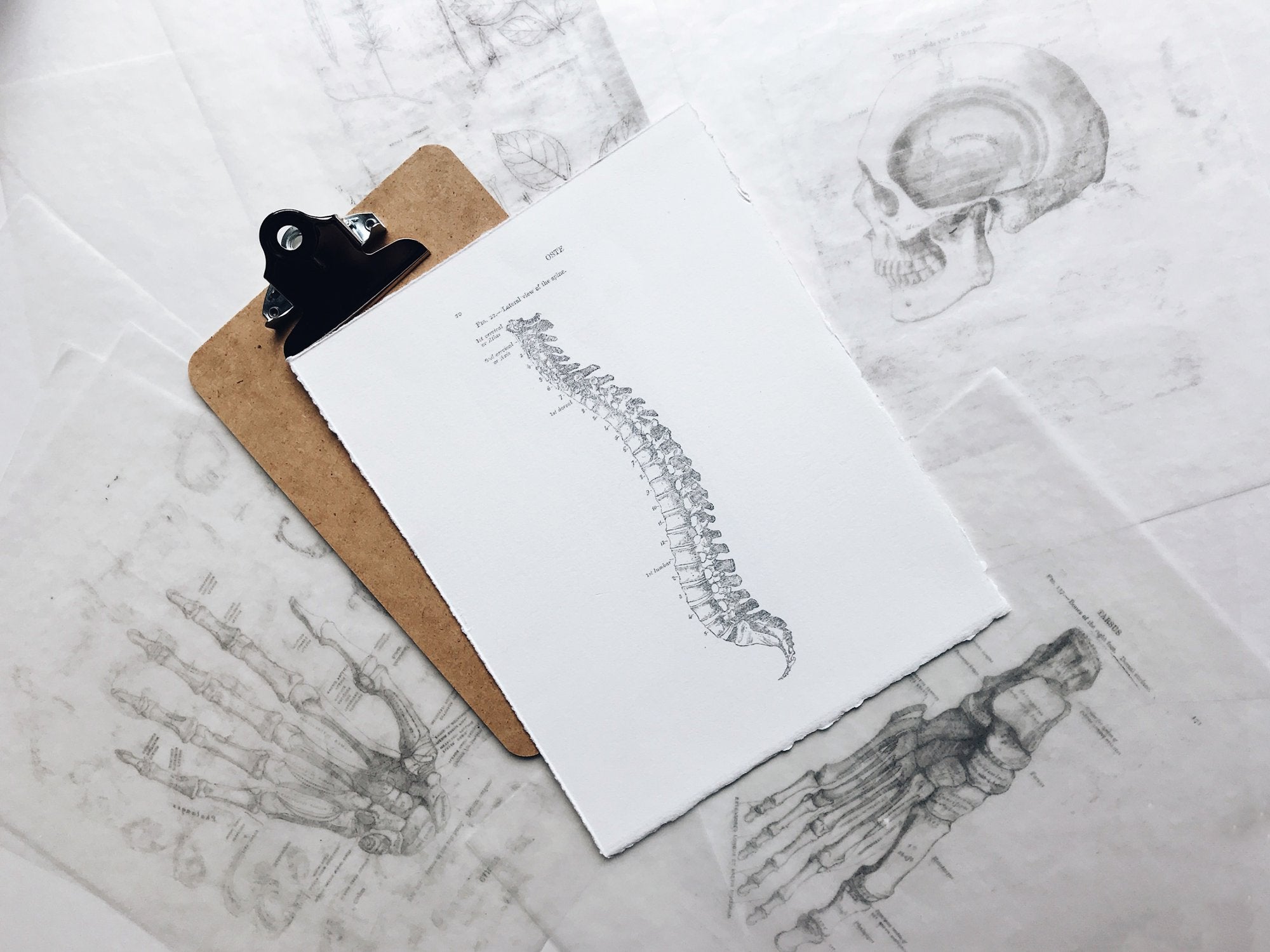 Pillow for neck pain and spinal degeneration